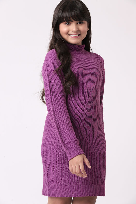 Purple Self Design Straight Dress, Purple, image 2